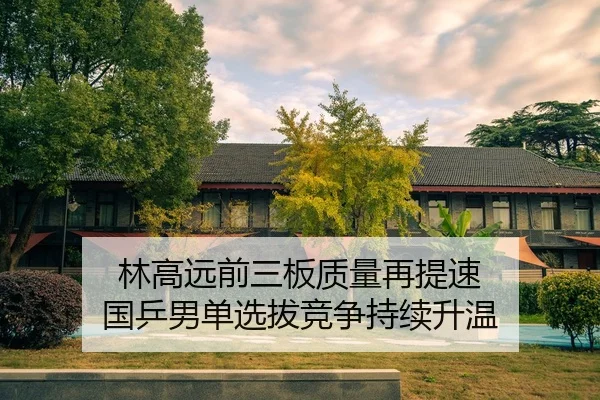 林高远前三板质量再提速 国乒男单选拔竞争持续升温